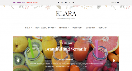 5 Tema WordPress Seo Friendly & Gratis - 2025