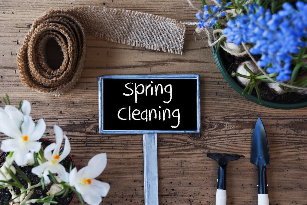 spring cleaning website
