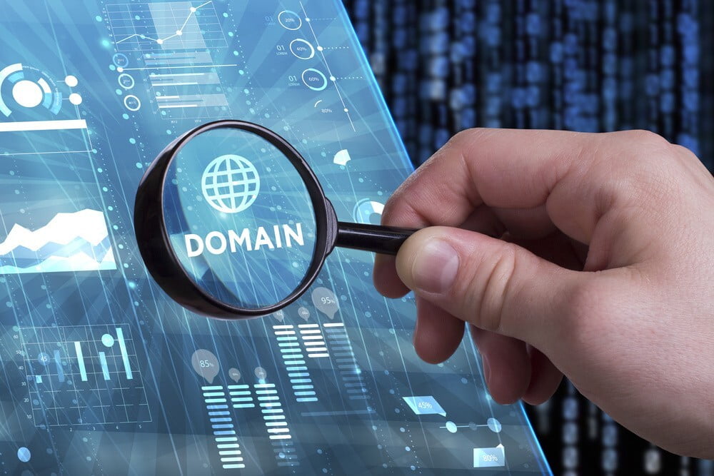 Cara Cek Pemilik Domain