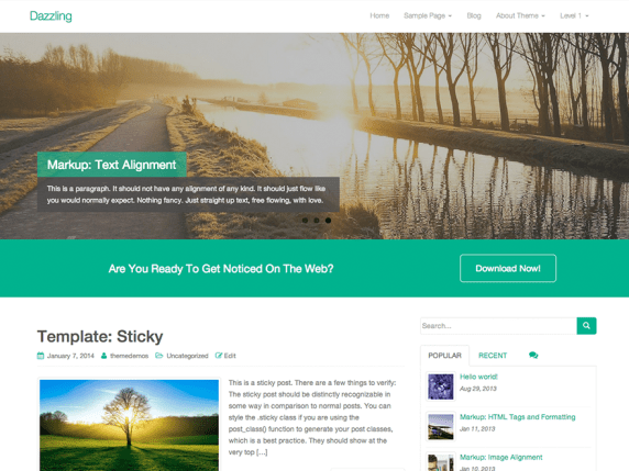 Tema WordPress Gratis Dan Terbaik Untuk Toko Online, Tampilan Tema WordPress Dazzling