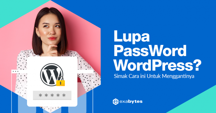 lupa password wordpress