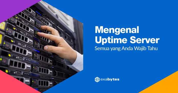 mengenal uptime server