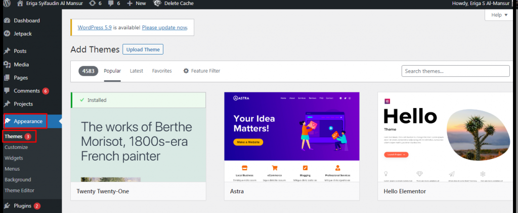 Di halaman dashboard, klik menu Appearance dan klik theme/tema.