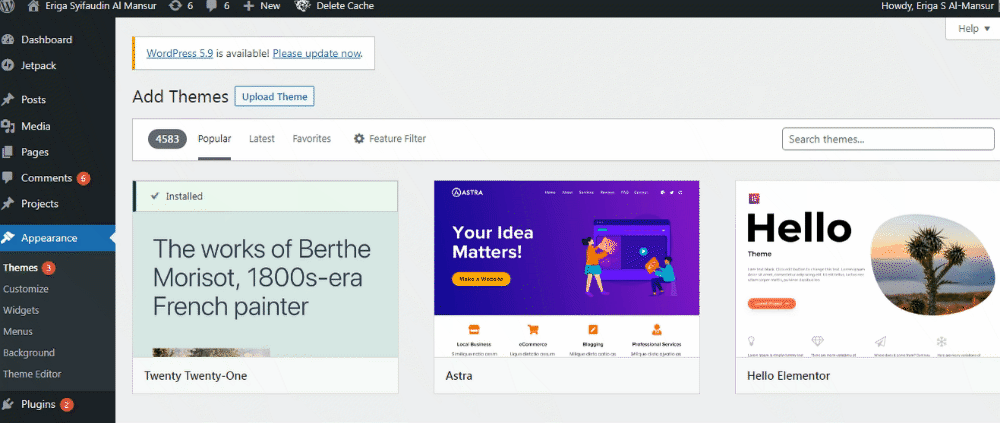 Langkah 8: Setelah berhasil Anda download dan instal tema pilihan Anda, selanjutnya cek terlebih dahulu dengan menggunakan menu Live Preview. Namun jika Anda lebih memilih untuk mengaktifkannya terlebih dahulu maka bisa klik menu Active.