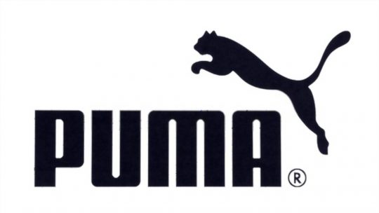 contoh logo dengan pola organik dan spiral