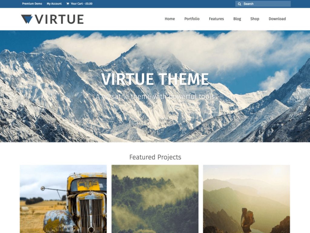 rekomendasi template toko online: virtue
