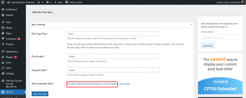Ikuti 4 Cara Membuat Custom Post Type WordPress [Terlengkap] - 2025