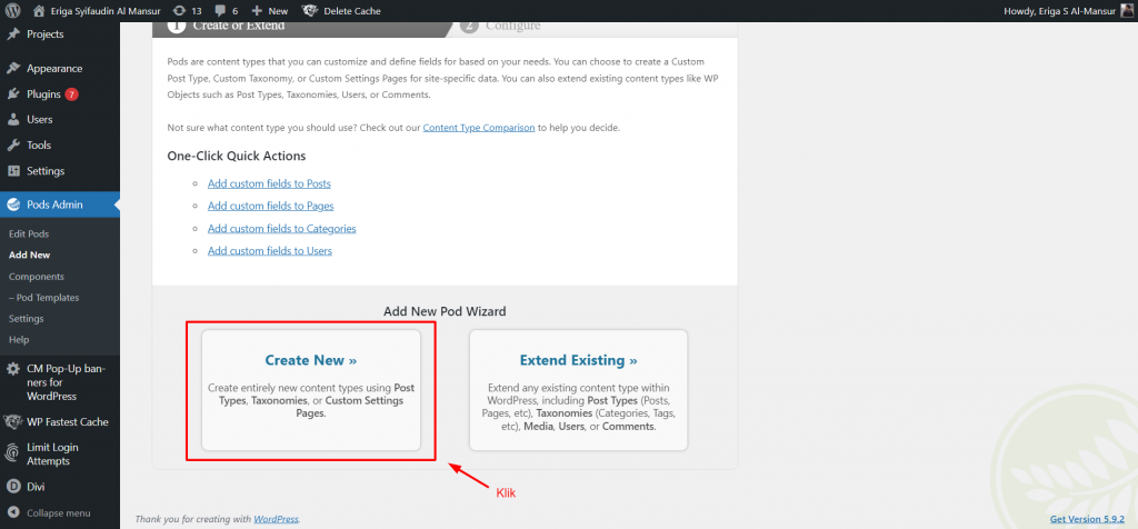 Ikuti 4 Cara Membuat Custom Post Type WordPress [Terlengkap] - 2025