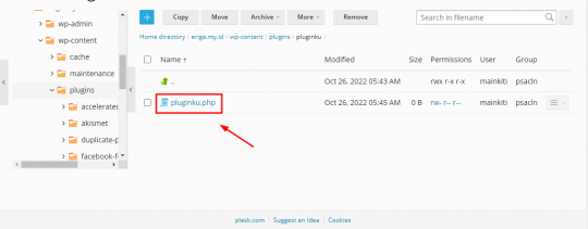 Cara Membuat Plugin WordPress Sendiri