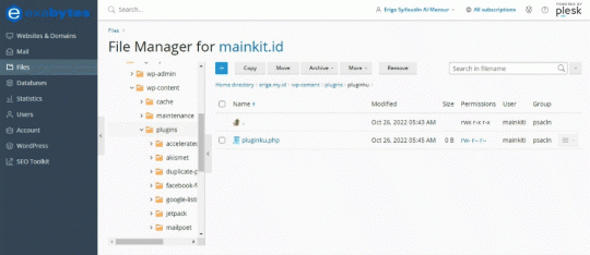 Cara Membuat Plugin WordPress Sendiri