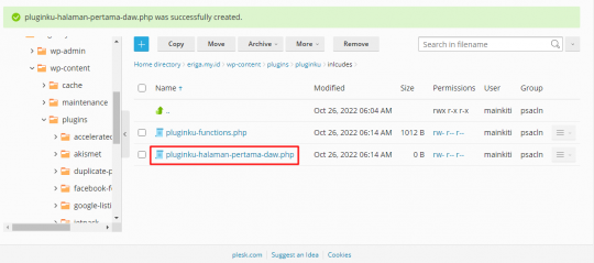 Panduan Cara Membuat Plugin Wordpress Sendiri - 2025