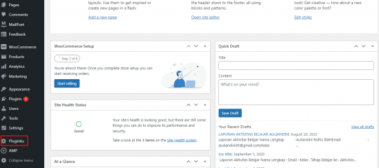 Panduan Cara Membuat Plugin Wordpress Sendiri - 2025