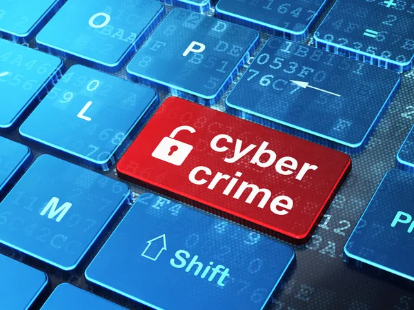 contoh cyber crime