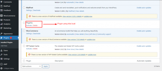 Panduan Cara Membuat Plugin Wordpress Sendiri - 2025
