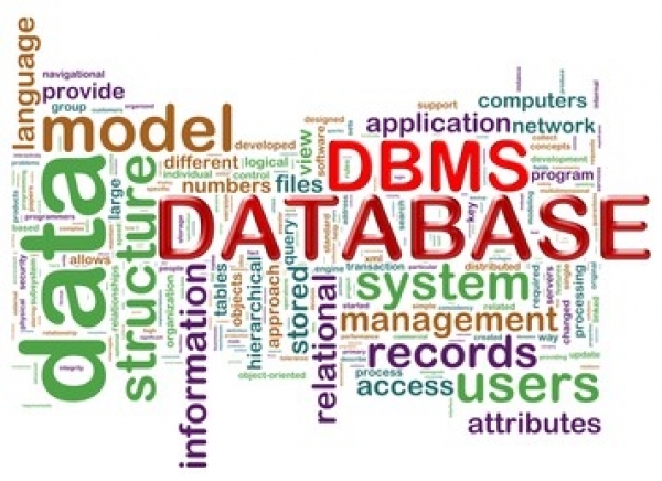 Mengenal apa itu DBMS