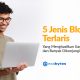 5 Jenis Blog Terlaris Yang Menghasilkan Uang dan Banyak Dikunjungi 5 Jenis Blog Terlaris