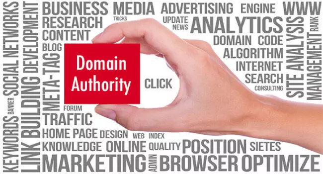 Membangun Otoritas Domain dengan Domain Murah