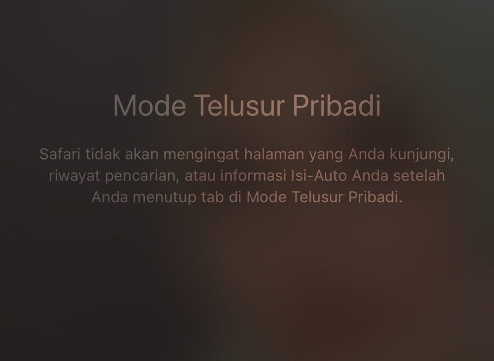 Apa Itu Mode Incognito? Ini Dia 5 Hal Penting yang Perlu Anda Tahu - Tutorial Digital Marketing, Website, & Bisnis Online - Exabytes mode incognito safari