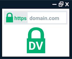 Domain Validated Certificate