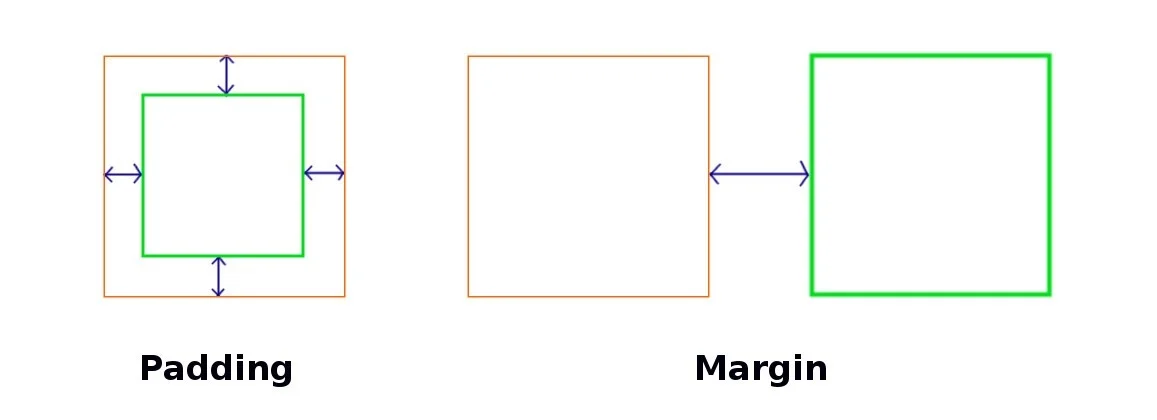 Perbedaan Margin dan Padding