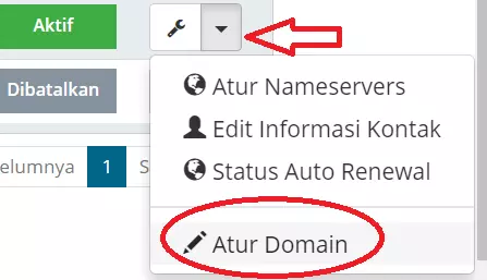 Pilih Domain yang Akan Diperpanjang