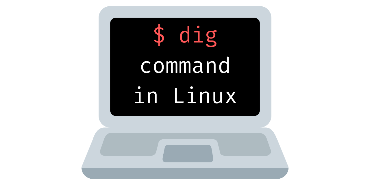 Cara Cek PTR Record dengan Command Dig (Linux dan Mac)