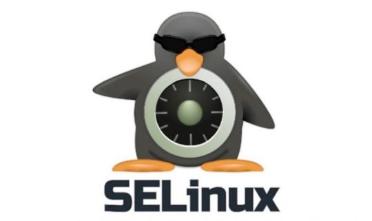 Apa Itu SELinux