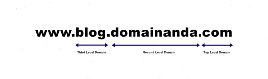 Struktur Sistem Penamaan Domain