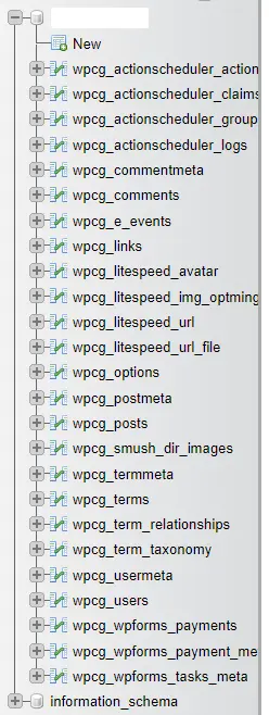 pilih wpcg user di phpmyadmin