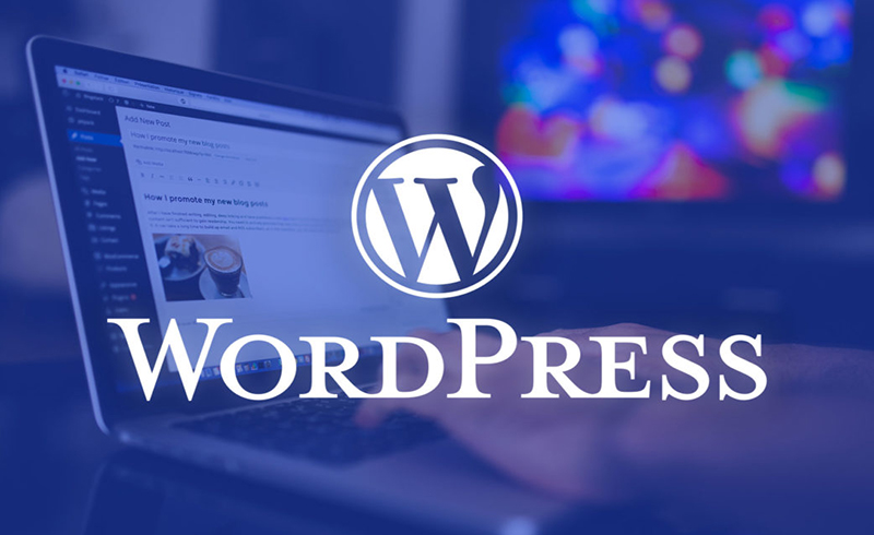 Cara Membuat Website WordPress: Langkah Mudah! - 2024