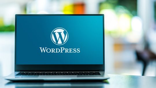 Keunggulan WordPress untuk Pemula