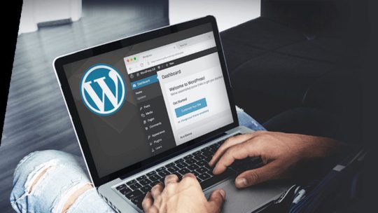 Website Apa Saja Yang Bisa Dibuat oleh WordPress