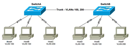jenis trunk dalam jaringan