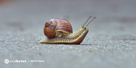 Langkah Mudah Mempercepat Loading Website