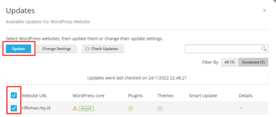 Pentingnya Update dan Cara Upgrade WordPress ke Versi Terbaru - 2025