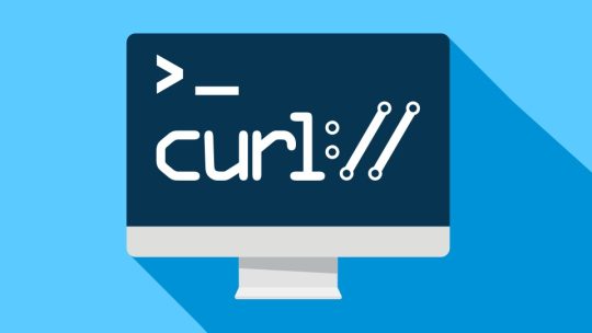 Apa Itu cURL Command