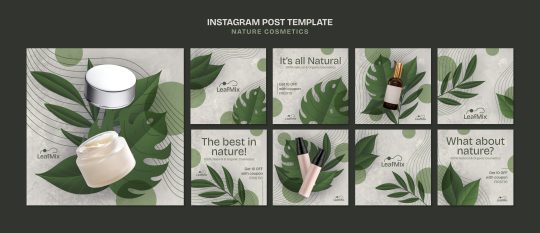 Niche Market: Definisi, Manfaat, Contoh & Cara Menentukannya - Tutorial Digital Marketing, Website, & Bisnis Online - Exabytes niche market - natural cosmetic