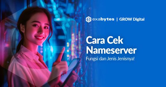 cara cek nameserver