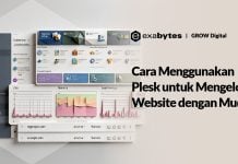 Cara Menggunakan Plesk untuk Mengelola Website dengan Mudah