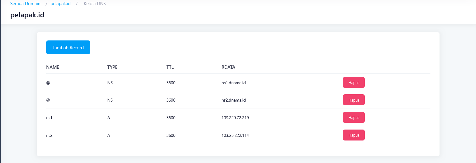 Cara Membuat DNS Branding - Tutorial Digital Marketing, Website, & Bisnis Online - Exabytes Cara Membuat DNS Branding - 2026