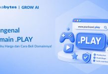 Domain .Play: Panduan Lengkap dan 5 Tips Memilihnya Domain .Play