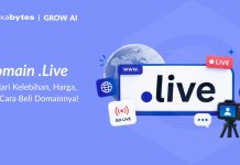 Domain .Live: Ini Kelebihan, Harga, dan Cara Beli Domainnya! ilustrasi domain .live