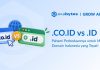 CO.ID vs .ID: Panduan Lengkap Memilih Domain yang Tepat Domain .co.id vs .id