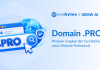 Domain .Pro: Panduan Lengkap untuk Profesional dan Bisnis Domain .Pro
