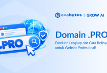 Domain .Pro: Panduan Lengkap untuk Profesional dan Bisnis Domain .Pro