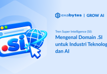 Domain .SI: Arti dan Kaitannya dengan Super Intelligence Domain .Si