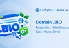 Domain .BIO: Pengertian, Kelebihan, dan Cara Membelinya Domain .Bio