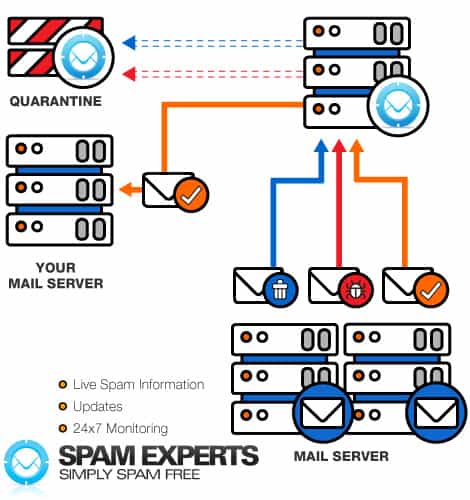 spam expert